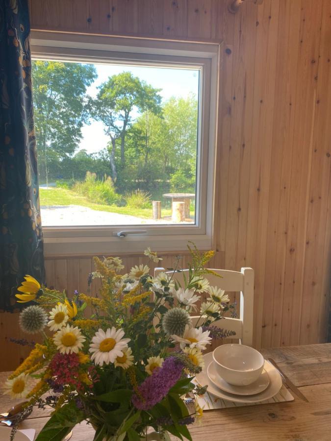 Kingfisher Cabin - Wild Escapes Wrenbury Off Grid Glamping - Ages 12 And Over Baddiley Eksteriør bilde
