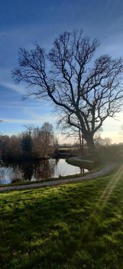 Kingfisher Cabin - Wild Escapes Wrenbury Off Grid Glamping - Ages 12 And Over Baddiley Eksteriør bilde